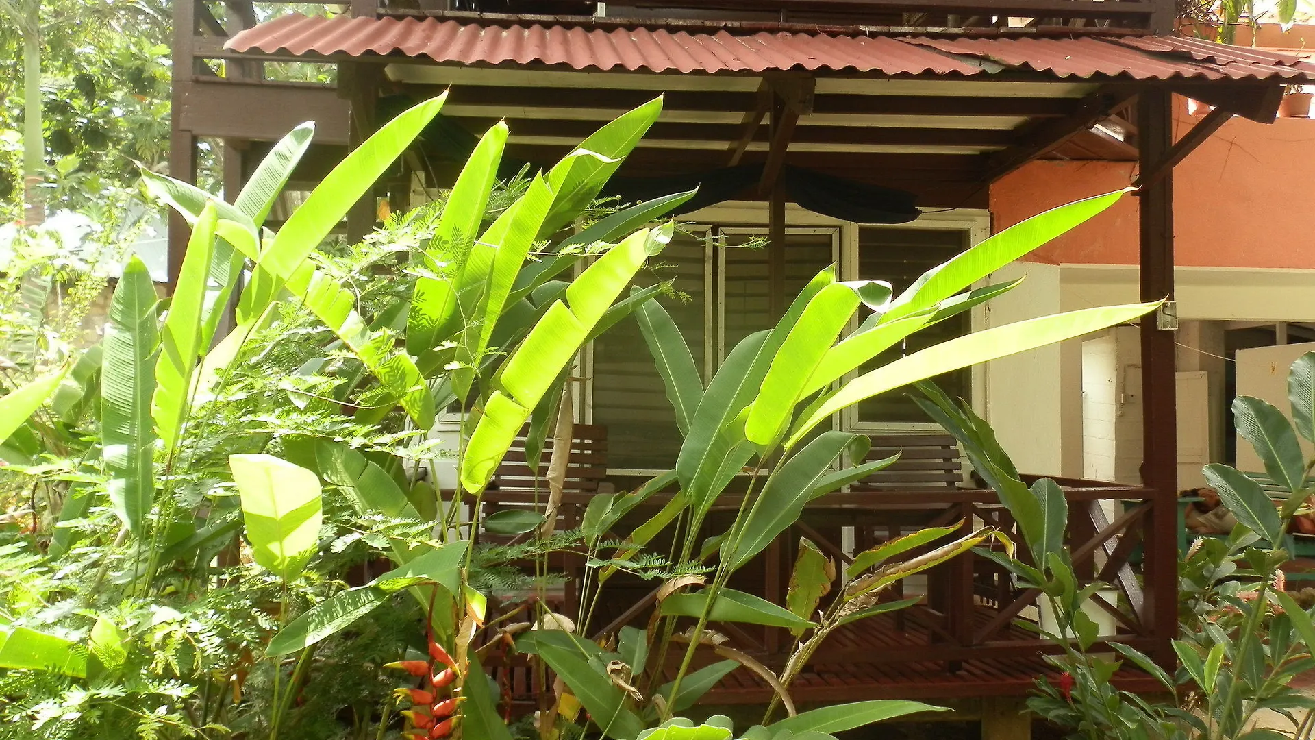 Cottages At Yoga Center Negril Giamaica